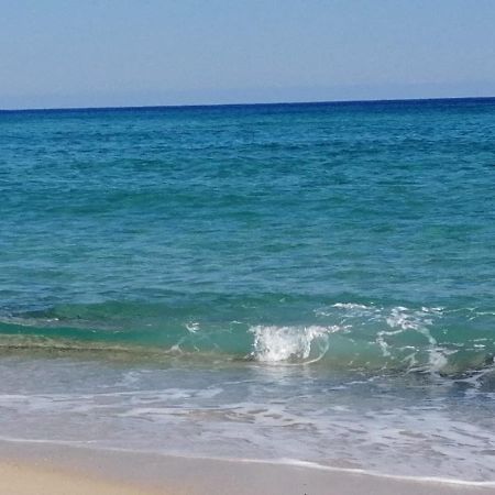 קוסטה ריי Home Beach Costa Rey מראה חיצוני תמונה