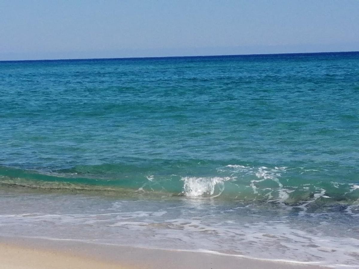 קוסטה ריי Home Beach Costa Rey מראה חיצוני תמונה